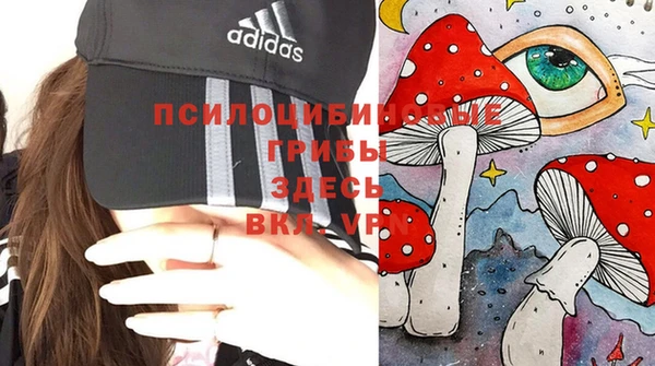 apvp Володарск