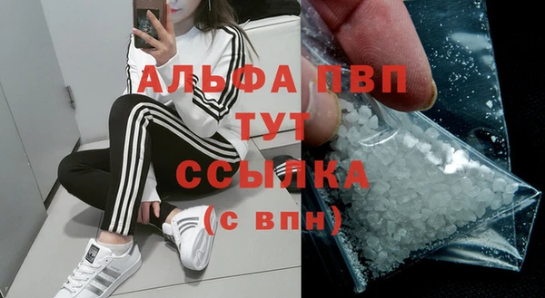 молекула духа Волосово