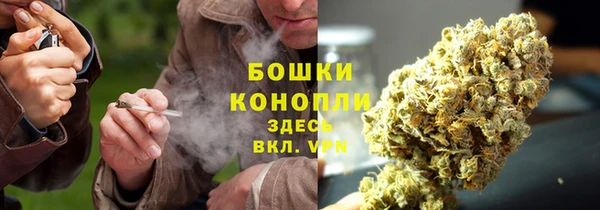 молекула духа Волосово