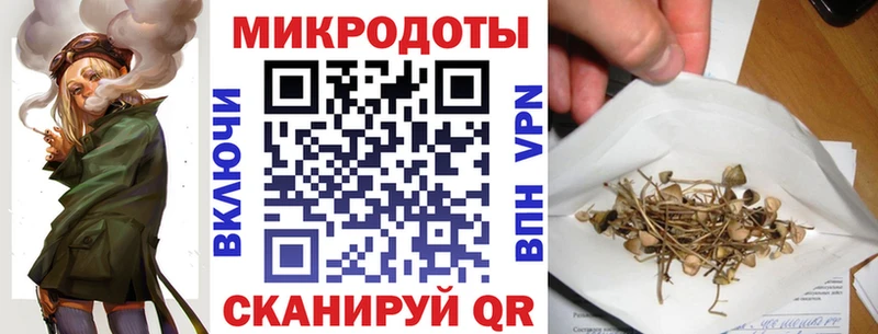 Купить где  Рошаль  Псилоцибиновые грибы Cubensis 